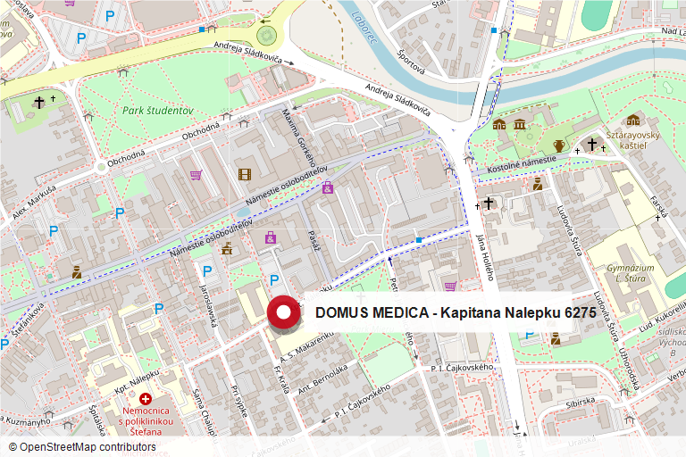 Mapa okolia zdravotníckeho zariadenia DOMUS MEDICA na ulici Kapitána Nálepku v Michalovciach